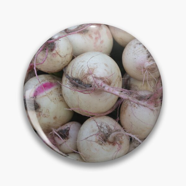 Item preview, farmers market display features a vibrant stack of fresh turnips, soil kissed turnips, and root vegetables designed and sold by EyezWatchin.
