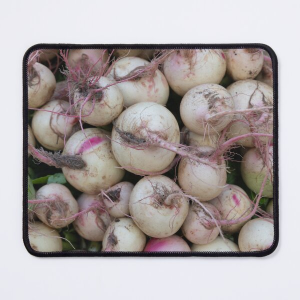 Item preview, farmers market display features a vibrant stack of fresh turnips, soil kissed turnips, and root vegetables designed and sold by EyezWatchin.