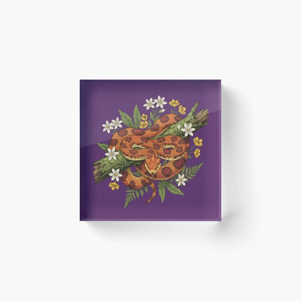 Item preview, Corn Snake with Ferns and Wildflowers designed and sold by BirdsnStuff.