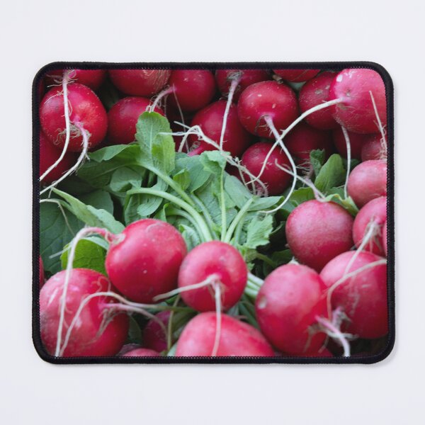 Item preview, vibrant veggie stack of fresh radish at the farmers market showcases garden fresh, locally grown, and organic produce designed and sold by EyezWatchin.