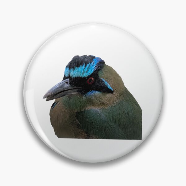 Item preview, andean motmot side profile designed and sold by FederalFeathers.