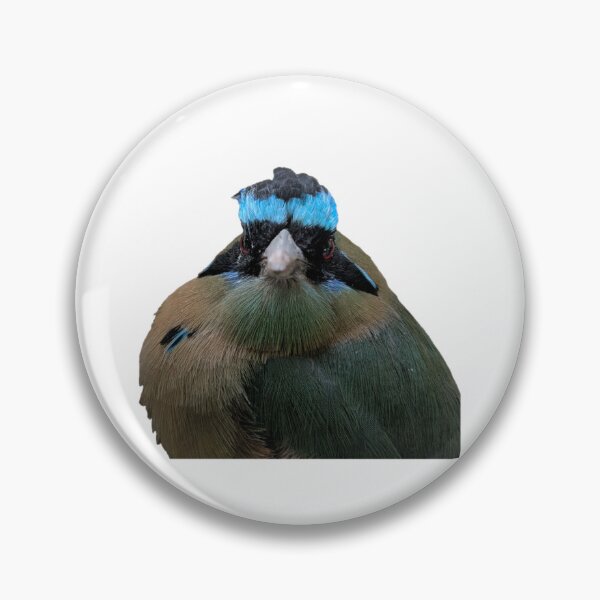 Item preview, andean motmot stare down designed and sold by FederalFeathers.
