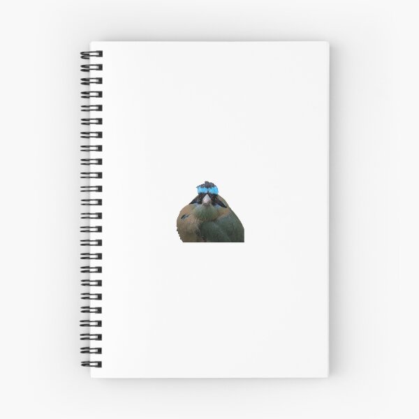 Item preview, andean motmot stare down designed and sold by FederalFeathers.