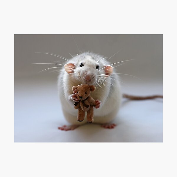 Me and my bear. Photographic Print