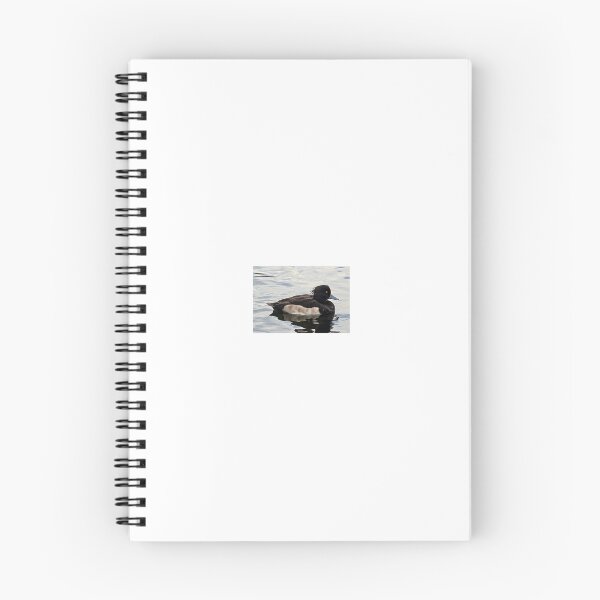 Item preview, tufted duck swimming in water designed and sold by FederalFeathers.