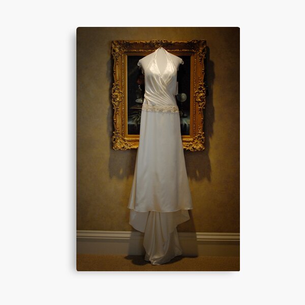 The Dress Canvas Print