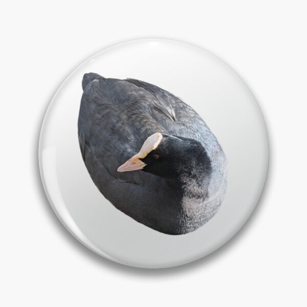 Item preview, sitting coot designed and sold by FederalFeathers.