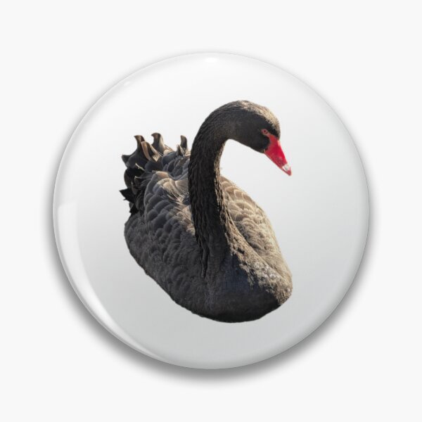 Artikelvorschau, Schwarzer Schwan entworfen und verkauft von FederalFeathers.