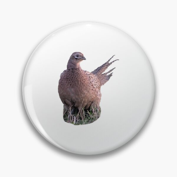 Item preview, Common Pheasant Sitting in a Field designed and sold by FederalFeathers.