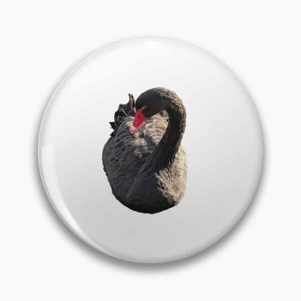 Artikelvorschau, Schwarzer Schwan mit krummem Hals entworfen und verkauft von FederalFeathers.