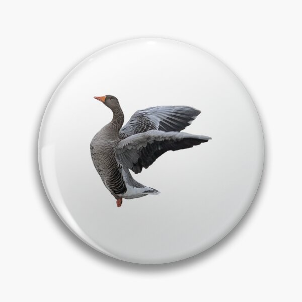Item preview, Greylag Goose Spreading its Wings designed and sold by FederalFeathers.