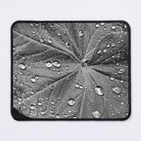 Item preview, Desert Blooms designed and sold by trailsitravel.