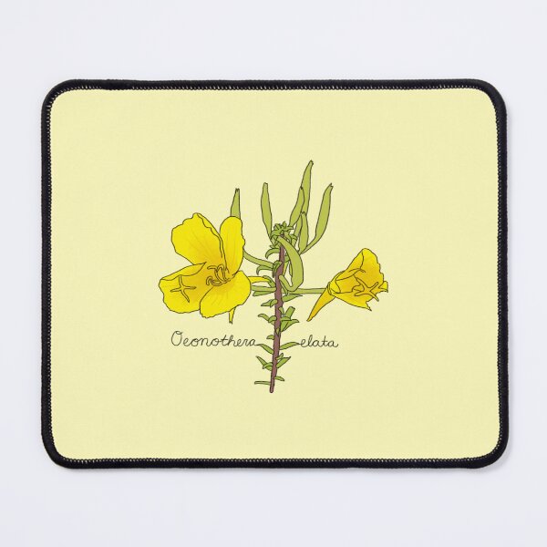 Item preview, Tall Evening Primrose (Oenothera elata) designed and sold by fujimocha.