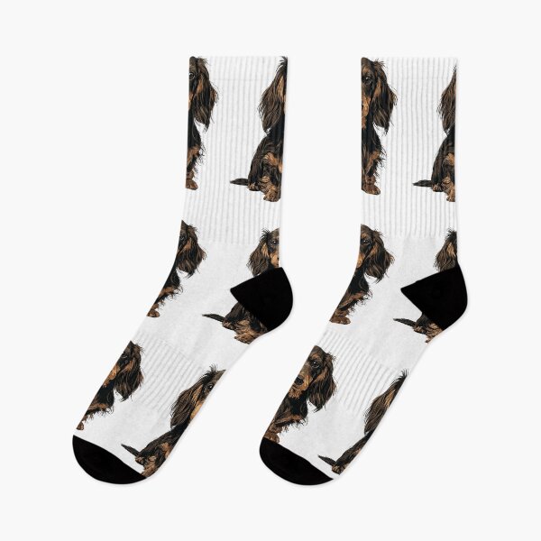 Item preview, Black and Tan Long Hair Dachshund Dog Illustration designed and sold by whyitsme.
