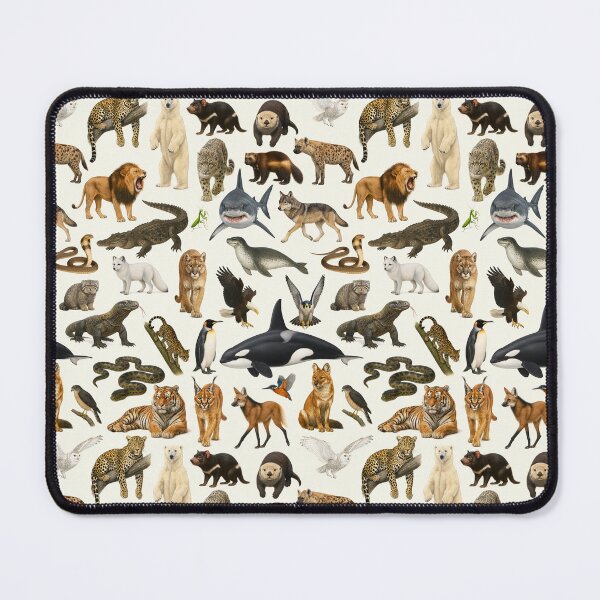 Item preview, Carnivores of the World Illustration Chart designed and sold by kakarikihill.