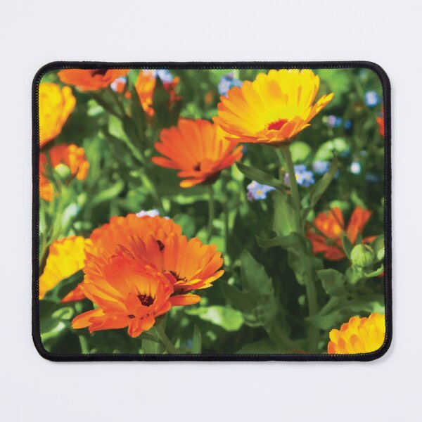 Item preview, Calendula and Forget Me Nots designed and sold by Maddy the Maker.