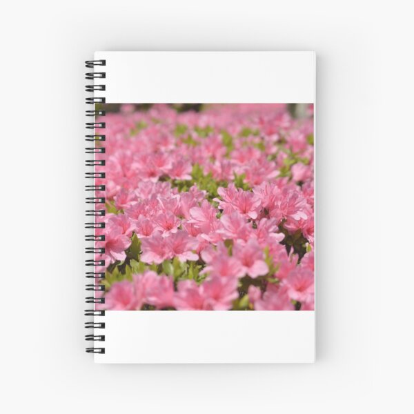 Cuadernos de espiral: Azalea Rosada | Redbubble