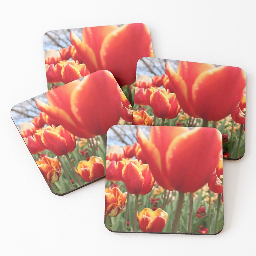 Item preview, Coasters (Set of 4) designed and sold by RREID84.