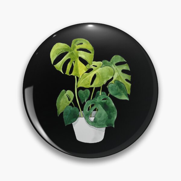 Item preview, Monstera Deliciosa Plant designed and sold by santiago-adkins.