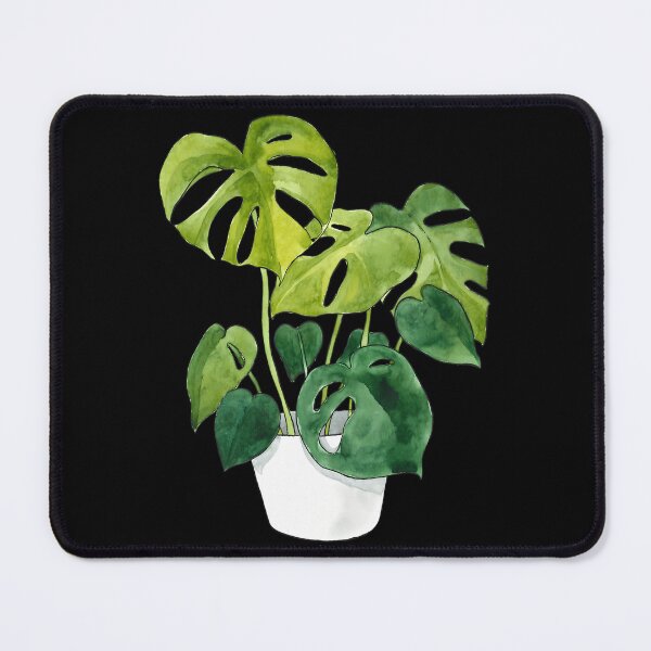 Item preview, Monstera Deliciosa Plant designed and sold by santiago-adkins.