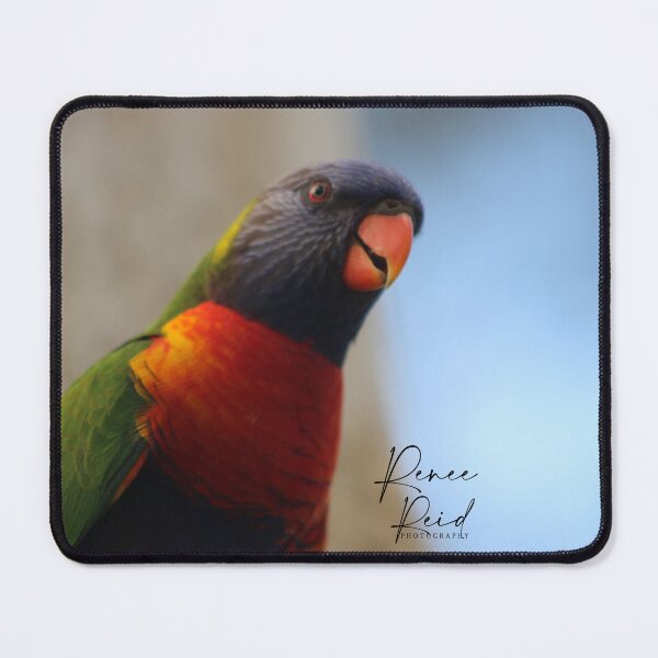 Item preview, Lorikeet Hello designed and sold by RREID84.