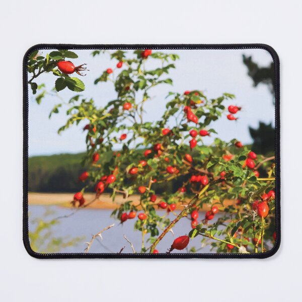 Item preview, Wild Rosehips on Lakeside Hill at Golden Hour designed and sold by Maddy the Maker.