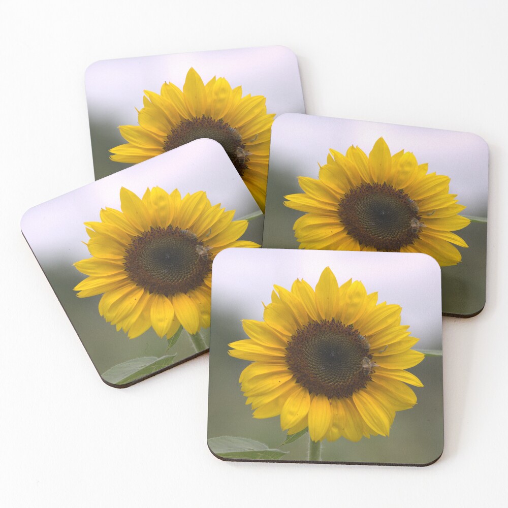 Item preview, Coasters (Set of 4) designed and sold by RREID84.
