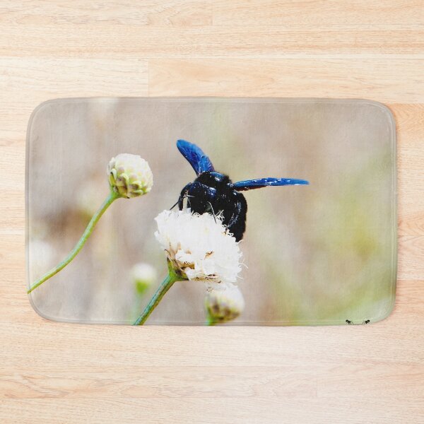 Item preview, Carpenter bee on a white flower – shimmer of night colors / Swiss Artwork Photography designed and sold by Raphael Wolf.