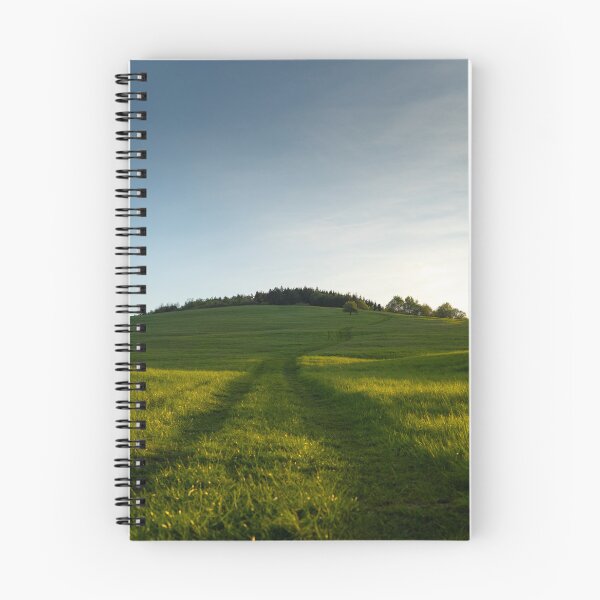 Item preview, Path through the meadow  designed and sold by kajmanus.
