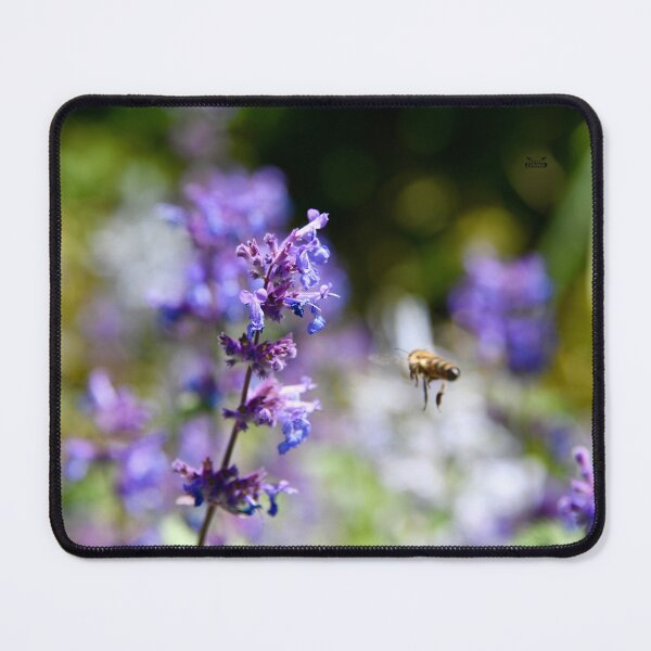 Item preview, Bee in flight – Dreamy purple blossoms / Swiss Artwork Photography designed and sold by Raphael Wolf.