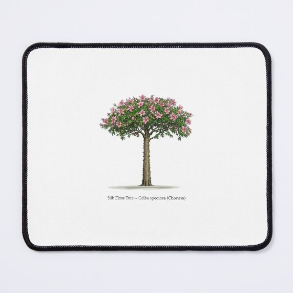 Item preview, Silk Floss Tree – Ceiba speciosa designed and sold by BloomKind.