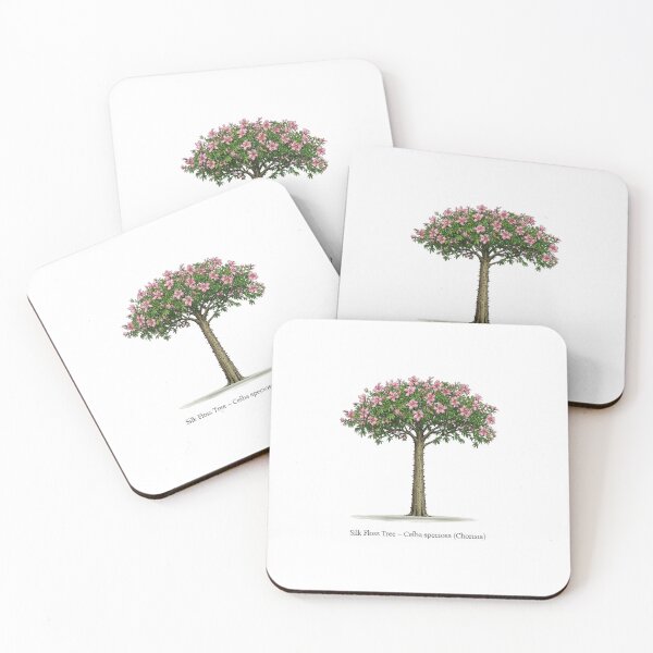 Item preview, Silk Floss Tree – Ceiba speciosa designed and sold by BloomKind.