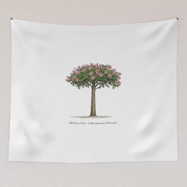 Item preview, Silk Floss Tree – Ceiba speciosa designed and sold by BloomKind.