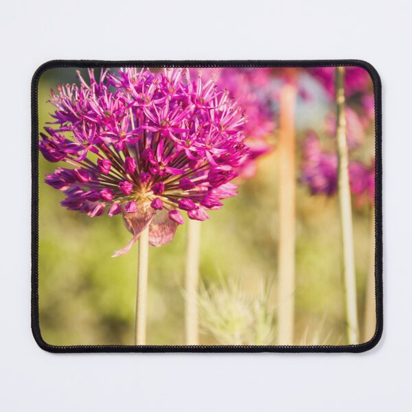 Item preview, Alliums designed and sold by JEZ22.