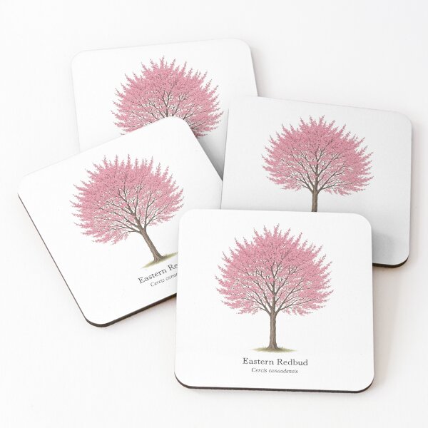 Item preview, Eastern Redbud – Cercis canadensis | Spring Pink Blossom Tree Illustration designed and sold by BloomKind.