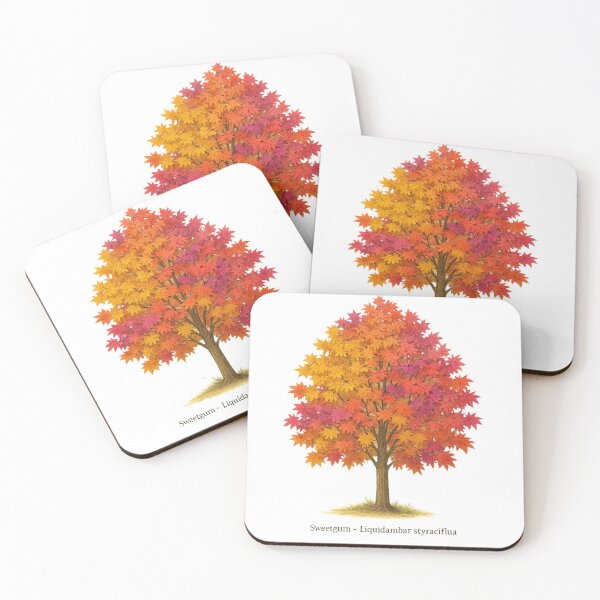 Item preview, Sweetgum – Liquidambar styraciflua | Autumn Botanical Illustration designed and sold by BloomKind.