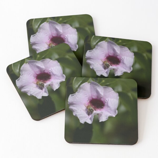 Item preview, Bee on Bower Vine Flower designed and sold by MercerImages.