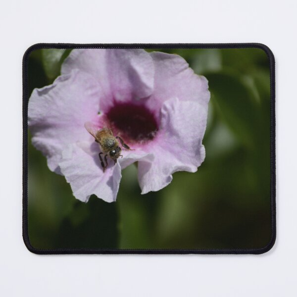 Item preview, Bee on Bower Vine Flower designed and sold by MercerImages.