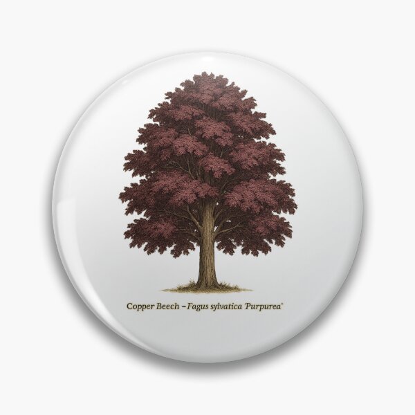 Item preview, Copper Beech – Fagus sylvatica ‘Purpurea’ | Botanical Tree Illustration designed and sold by BloomKind.