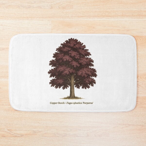 Item preview, Copper Beech – Fagus sylvatica ‘Purpurea’ | Botanical Tree Illustration designed and sold by BloomKind.