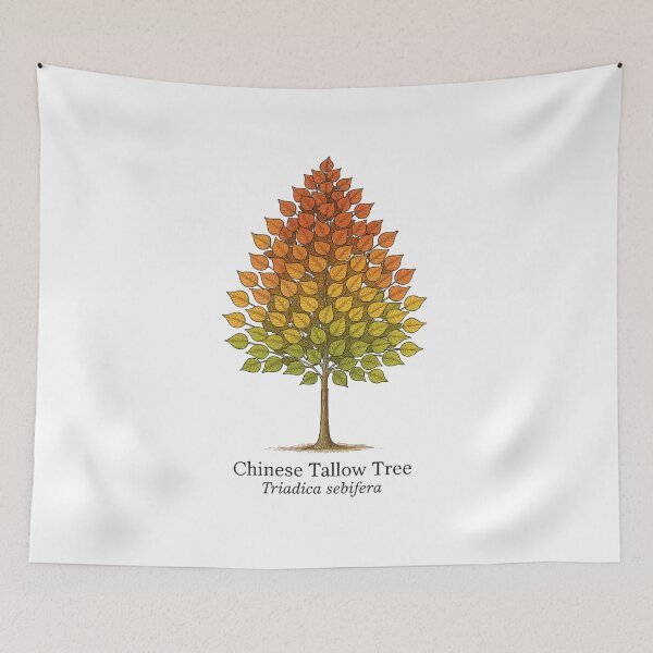 Item preview, Chinese Tallow Tree – Autumn Gradient Botanical Illustration designed and sold by BloomKind.
