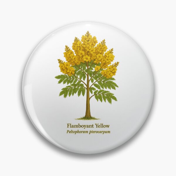 Artikelvorschau, Flamboyant Yellow – Botanische Illustration von Peltophorum pterocarpum entworfen und verkauft von BloomKind.