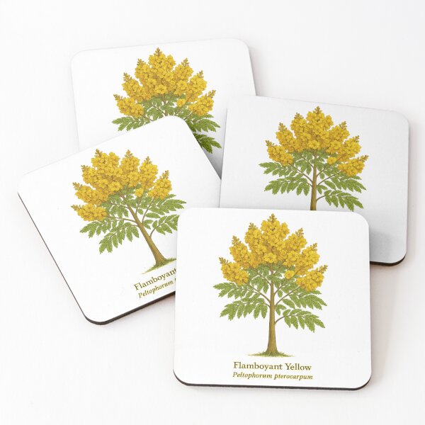 Item preview, Flamboyant Yellow – Peltophorum pterocarpum Botanical Illustration designed and sold by BloomKind.