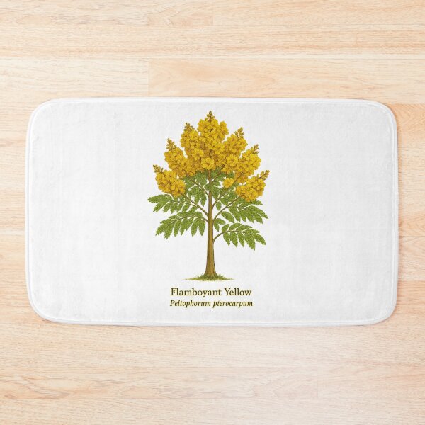 Item preview, Flamboyant Yellow – Peltophorum pterocarpum Botanical Illustration designed and sold by BloomKind.