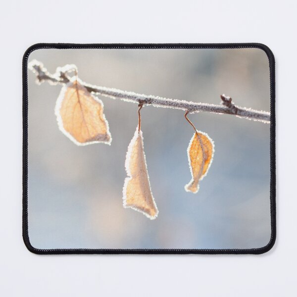 Item preview, Frozen leaves on the branch with blured background designed and sold by bence-kis-photo.