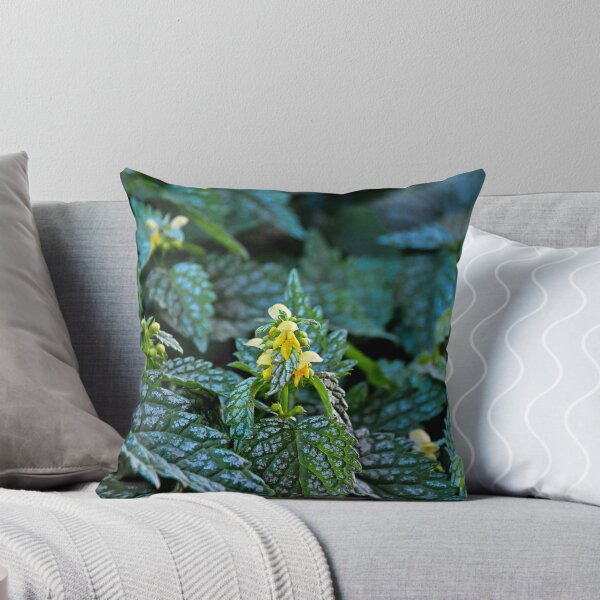 Item preview, Winter Park 2018 Study 13 designed and sold by Robert Meyers-Lussier.
