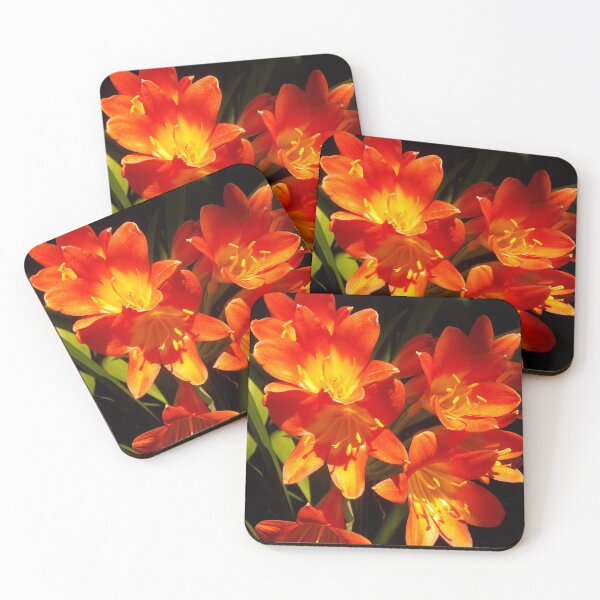 Item preview, Clivias in Bloom designed and sold by Brigitte Barabas.