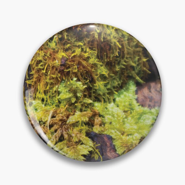 Item preview, Club Moss and Pincushion Moss on a Gum Tree Trunk designed and sold by Maddy the Maker.