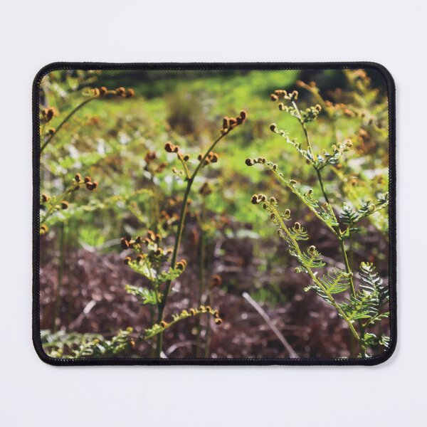 Item preview, Young Bracken Fronds Unfurling in the Sun designed and sold by Maddy the Maker.