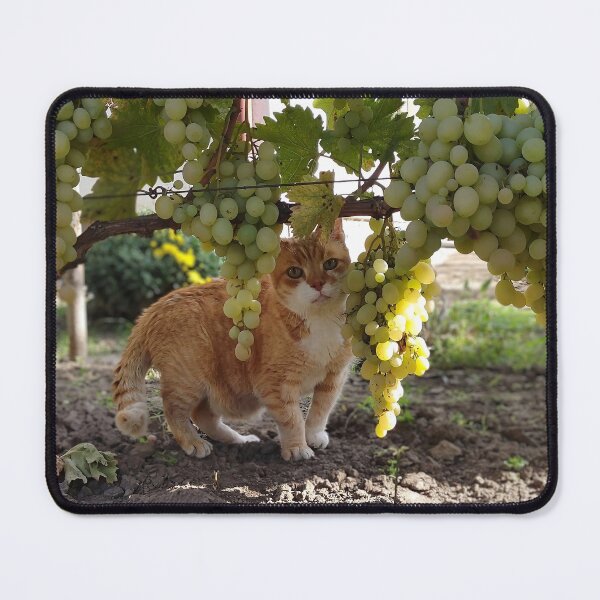 Item preview, Feline in the Grapevine designed and sold by MB-CatPrints.